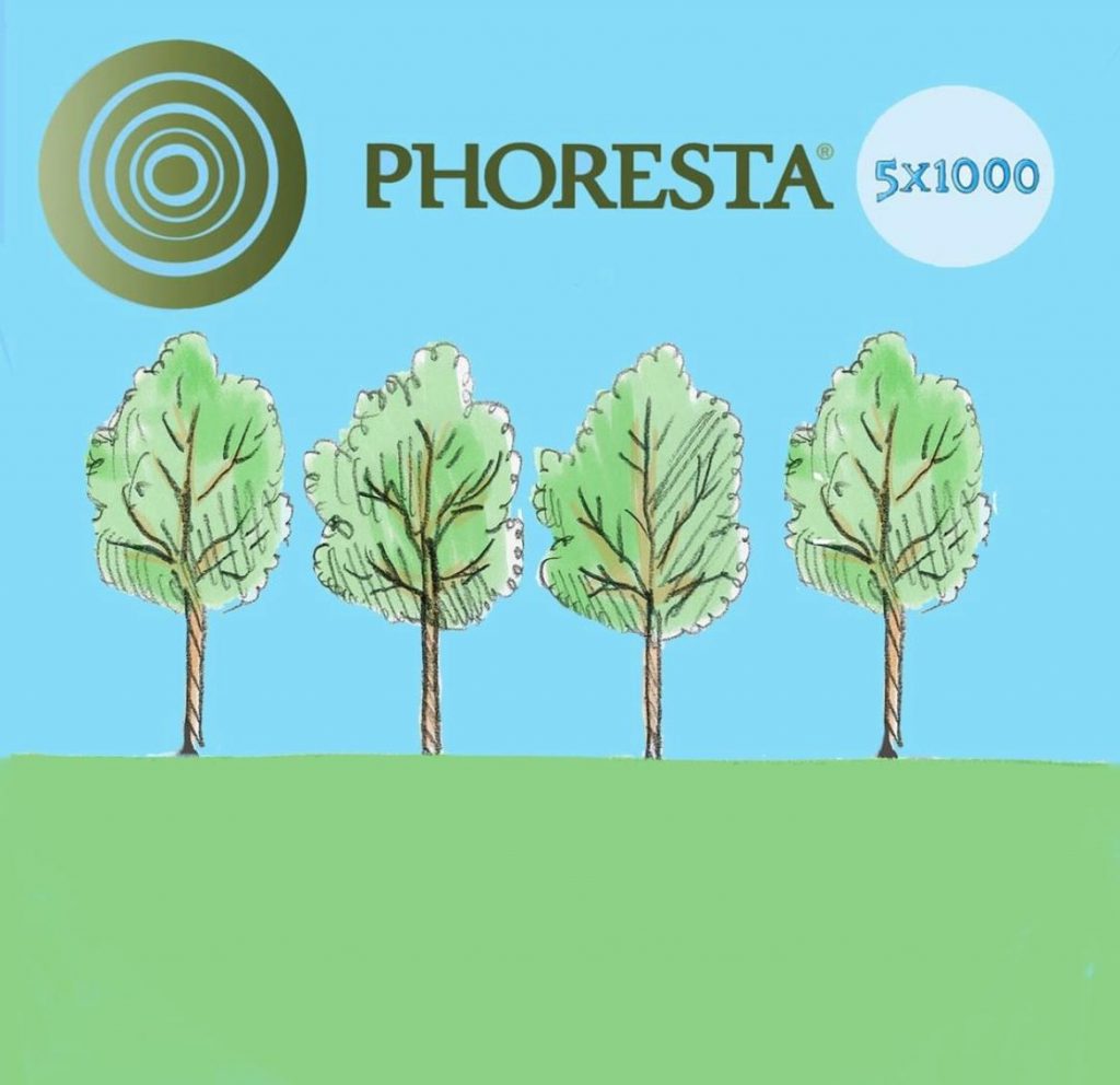 Riforestazione e valorizzazione dell’ambiente: conosciamo la Onlus Phoresta